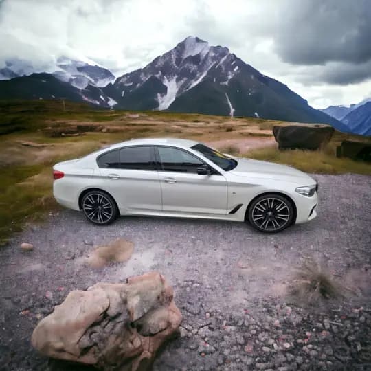 BMW Serija 5 2019. god - Automatik, servisna povijest, koža, parking kamera