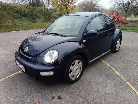 WV beetle
