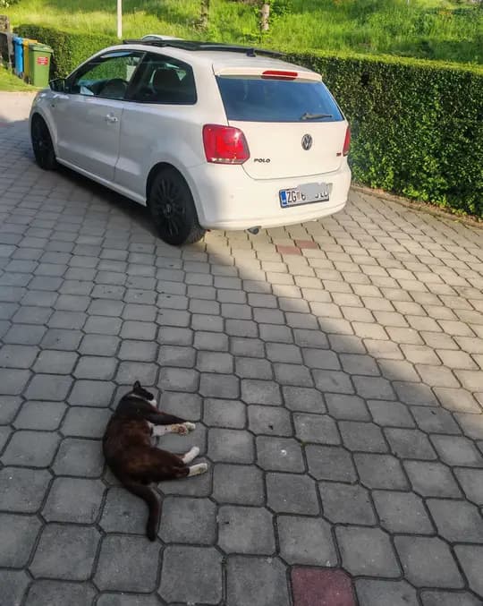 Vw polo 1.6tdi match oprema 2012 godina, panorama krov, reg 9 /2026. 