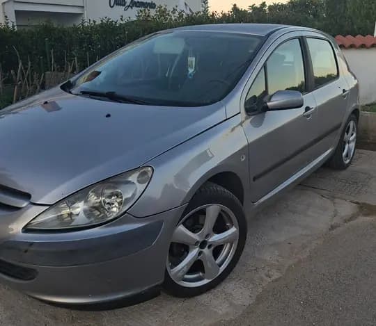 Peugeot 307 1.6 16v reg 1g top stanje nove gume ljetne novo sve ostalo 