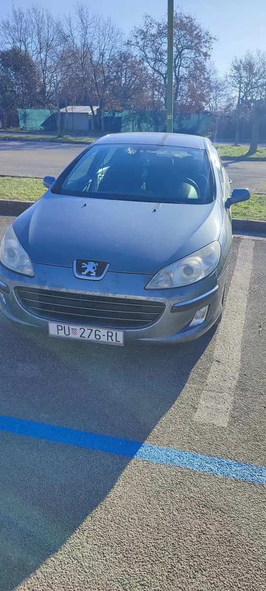 Peugeot 407 2.0 HDI 