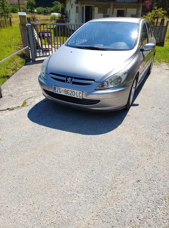 Peugeot 307
