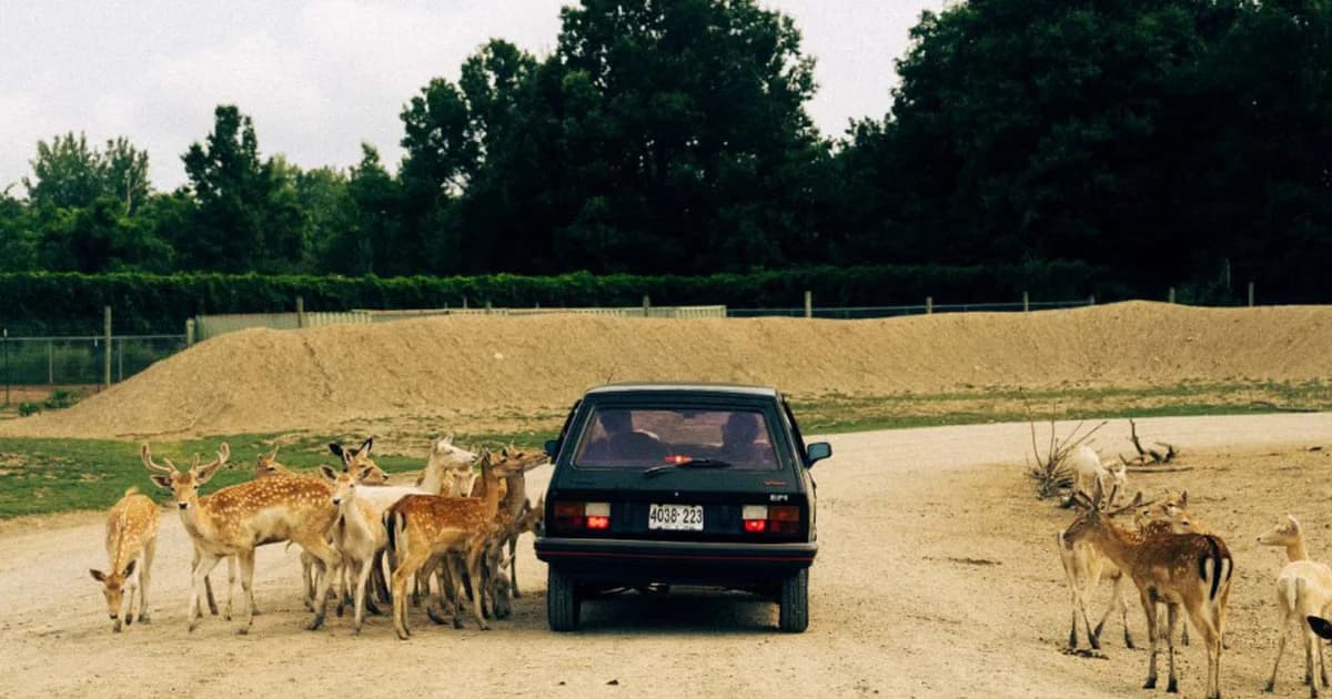 Film "Yugo ide u Ameriku" stiže na velika platna: Od Splita do Los Angelesa u legendarnom automobilu