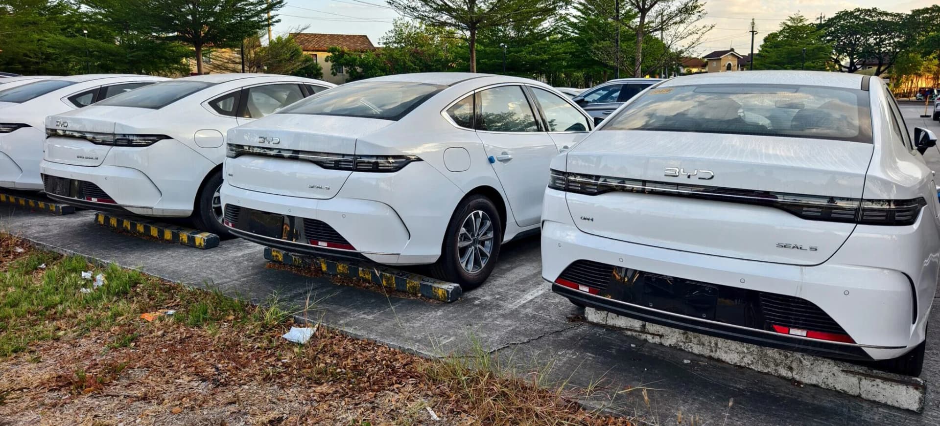 Poplava novih modela u Kini uzrokuje rastuću zabrinutost BYD-a