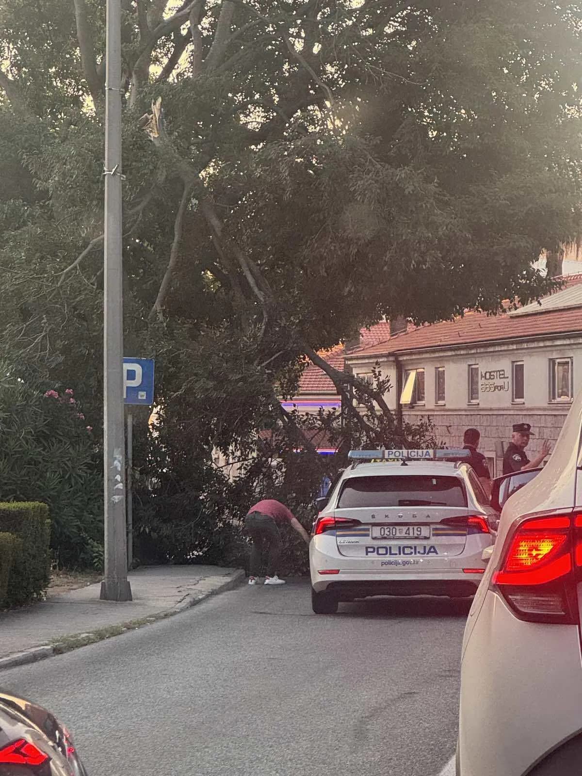 U Vukovarskoj ulici grana pala na cestu i automobil, vatrogasci intervenirali