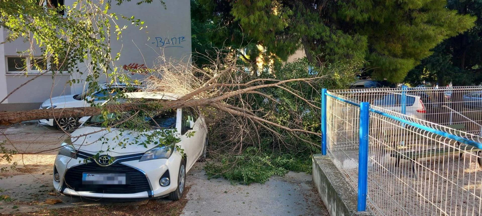 Grana stabla oštetila automobil na Plokitama u Splitu